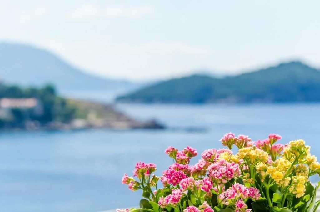 Apartment & Room Lady O Ντουμπρόβνικ Εξωτερικό φωτογραφία
